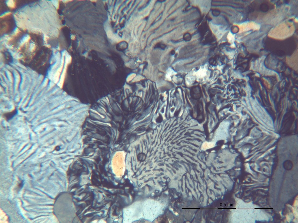 микрофото на мирмекити под микроскоп Amplival Pol